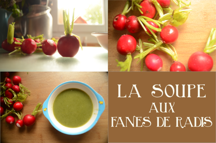 SoupeFanesDeRadis